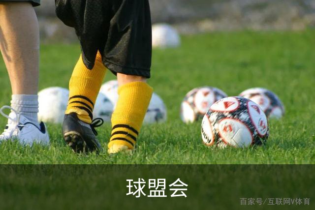 球盟会公司简介图片